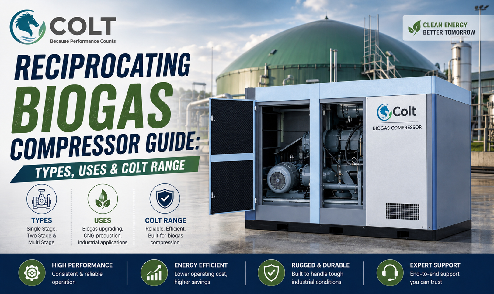 Reciprocating Biogas Compressor Guide